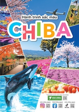 Hành trình sắc màu CHIBA