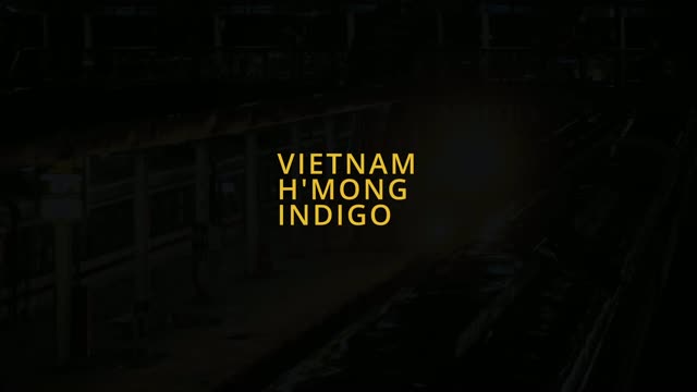 Giải Nhì_ Vietnam H'Mong Indigo (Ngô Nhan Đức Huy)